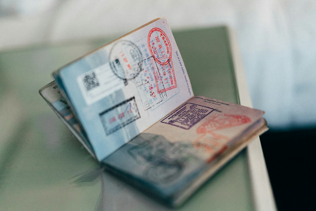 UAE and International Visa Services